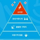 펫플린 네이버블로그