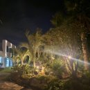 제주하와이 덕수궁 이미지