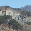 병곡식당 Daum카페