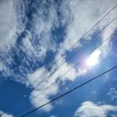 신대목장 이미지