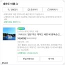 일본 대마도 여행 부산항 니나호 배 예약 방법 및 멀미 후기