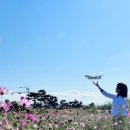 딸기네 민박 이미지