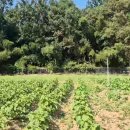 서산한성필공인중개사사무소 이미지