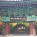 강진-36 이미지