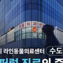24시 라인동물의료센터 이미지