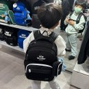 뉴발란스안양점 | 초등학생 저학년 책가방 남아 브랜드 비교 선택(뉴발란스, 캉골, MLB, 아이스비스킷 등 평촌 롯백)