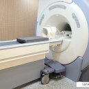 온동물병원 이미지