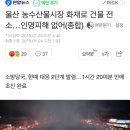 울산 농수산물시장 화재로 건물 전소…인명피해 없어(종합) 이미지