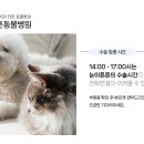 눈이튼튼 동물병원 이미지