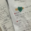 24시간대전동물메디컬센터숲