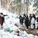 편백스테이 이미지