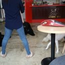 에반스 힐 이미지