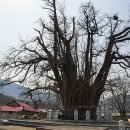 보건소앞~청룡리 이미지