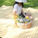 자유로 레저 이미지