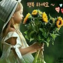 태양아트 이미지