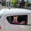 셀세모김해 이미지
