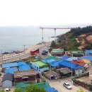 해파랑길 24코스 이미지