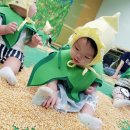 오감톡톡 인지톡톡 싱글벙글(10~16개월) | 다혀니야의 문화센터 후기. 이마트 문화센터 동구미점. 오감톡톡 인지톡톡 싱글벙글.