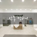 하이마로(서) | 안동애견샵 셀프목욕 가능한 멍하니 후기
