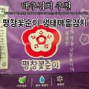 꽃순이네 | [평창 배추김치 추천] 생태마을 유기농 김치, 평창꽃순이 배추김치 후기