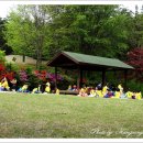 태학산자연휴양림 이미지