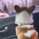 사동우리약국 이미지