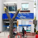 좌동지구대 앞 이미지