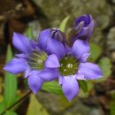 용담마을길 이미지