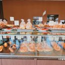 퍼스트가든 동물카페 이미지