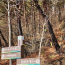 명산사슴농장 이미지