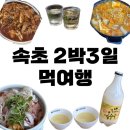 속초 2박3일 I 강릉함씨 33대손은 속초에서 뭐하고 놀았을까