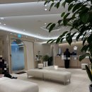 서울봄산부인과의원 | 임신 8주 2일차에 하고 온 제누 성별검사 결과 후기. (병원명 공개) 두근두근 젠더리빌 🩵boy? or girl?🩷