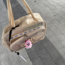 수영(A) | 아레나 수영가방 A5AC1AB15 구매후기