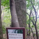 설악산오색마을 이미지