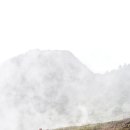 해외 트레킹ㅣ대만 설산] ‘아바타’에서 본 듯한 밀림… 이미지