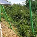 모양태양광발전소 이미지