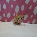 군산시-00814 이미지