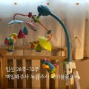 임신 28주 - 32주 백일해주사, 핫딜 아기용품준비, 임산부 독감주사 무료