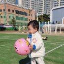 창말체육관 이미지