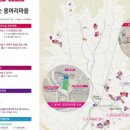 금강생활환경 - 동구 갱이길 2 | 금강생활환경