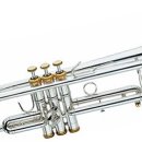 트럼펫연주 이미지