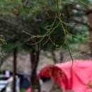 명돈골캠핑장 이미지