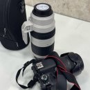 잠실 카메라 렌즈 대여 랄랄라렌탈 캐논 EF 100-400mm 백사투 사용 후기