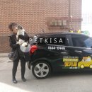 해피 펫 택시 이미지