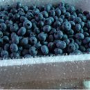 갈마농원 이미지