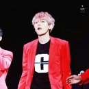 똥깡아지네 이미지