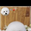 워니시티 이미지