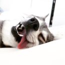 개편한 세상 이미지