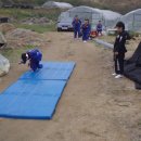 대오체육관 이미지