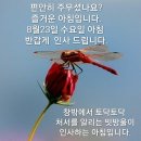 하나님께 여쭙다ㅡ 이미지